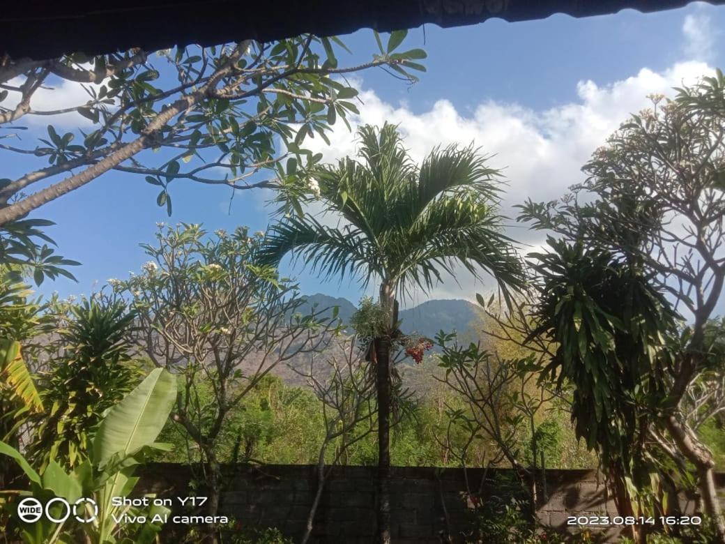 Tirta Bali Homestay Pemuteran Kültér fotó