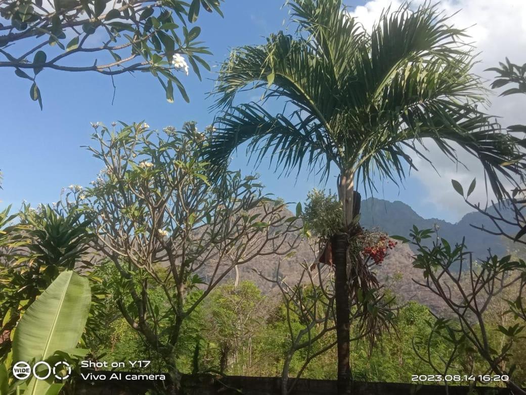 Tirta Bali Homestay Pemuteran Kültér fotó